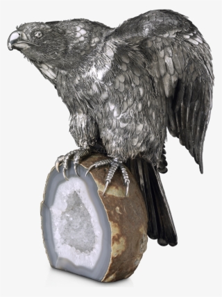 Aquila Png