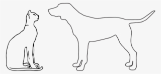 Quien Es Mas Inteligente Perro O Gato