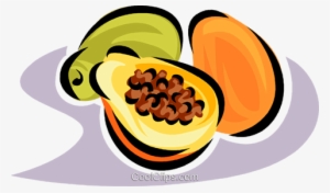 Papaya - Clip Art
