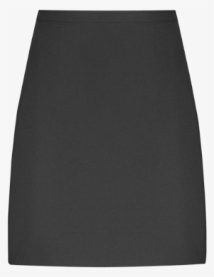 Picture Of Straight Fit Pencil Skirt - Pencil Skirt
