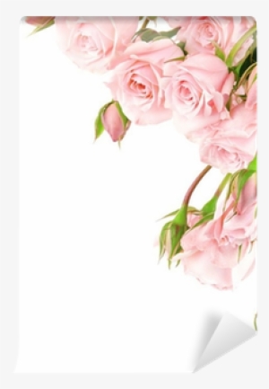 Pink Rose Border Clipart