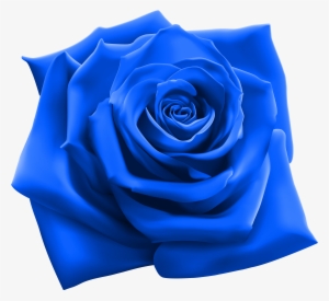 Blue Rose Clipart Image Gallery Yopriceville High Quality - Snoop Dogg 220
