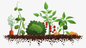 Green Living - Vege Garden Clip Art