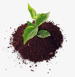 Complete Gardening Inc - Soil