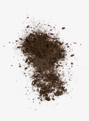 Dirt Splatter - Dirt Transparent