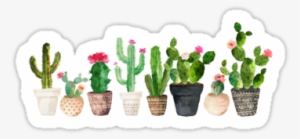 Illustrations - Cactus Laptop Sleeve - 13"