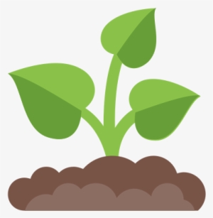 Sprout Icon