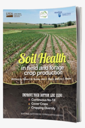Better Soils With The No-till System - Field