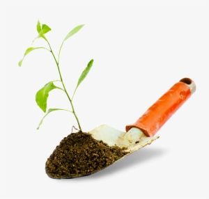 Naturally The Best - Shovel