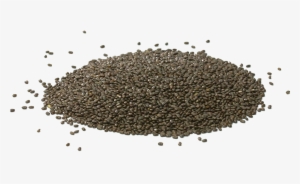 Chia Seeds Png Pic - Chia Seed