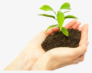 Soil In Hand Png