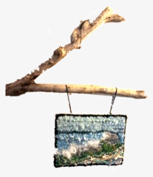 Donna Legere - Driftwood