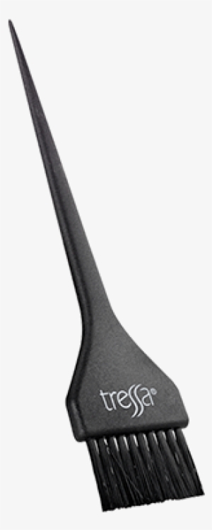 Color Brush - Fish Slice