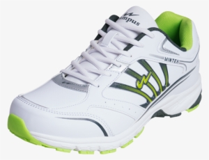 Campus Shoes - Campus Shoes Png