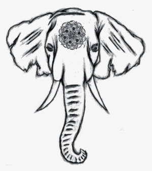 Drawn Elephant Head - Things To Draw Elephant