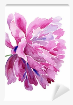 Acuarelas Peonias