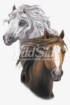 Two Horse Heads