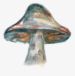 Orangepeel Paperie - Vegetable