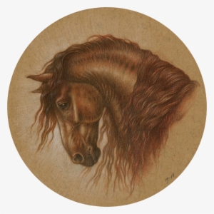 Graphite And Coloured Pencils With Touches Of Sepia - Stallion