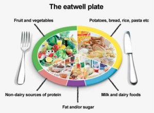 Growing Up, Many Of Us Were Introduced To The Food - Perfect Health - Body Diet & Nutrition