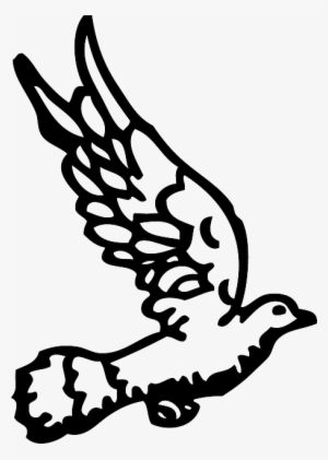 Turtle, Bird, Dove, Flying, Doves, Fly - Gambar Merpati Hitam Putih