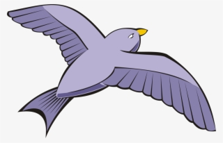 Bird Columbidae Rock Dove Flight Beak - Birds Flying In The Sky Clipart
