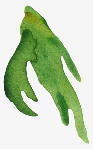 Long Branches And Leaves Transparent Decorative - Leaf