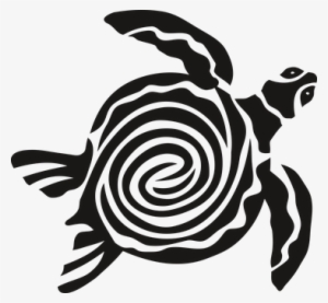 Sea Turtle Clipart Kura Kura - Tartaruga Marinha Vetor Png