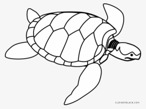 Turtles Clipart Outline - Activity For Color Green