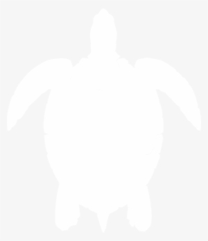 Vector Black And White Clip Art At Clker Com Vector - Black And White Sea Turtle Clipart