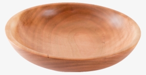 Testtun - Animal Jam Clans