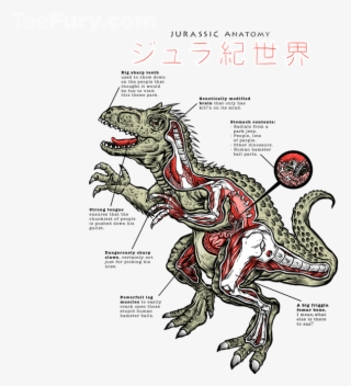 Sharp Teeth Png