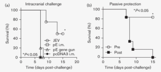 Immunization With Pe Failed To Protect Mice From An