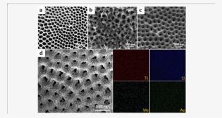 Sem Images Of A Tnts, B Tnts@mos 2 , C Tnts@moo