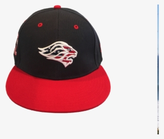 Lions Stars & Stripes 10th Anniversary Snap-back Cap