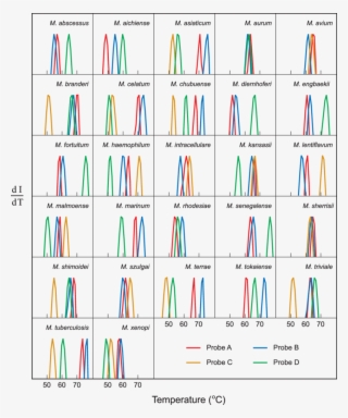 Species-specific Signatures For 27 Different Mycobacteria