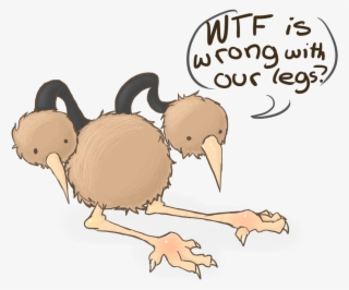 Well, It Looks Likes The Doduo Are Still Out At Night