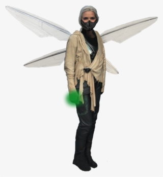 Wasp Png