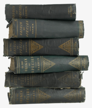 Animals And Plants Poorly Adapted To Their Environment