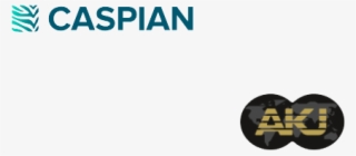 Caspian Aku Crypto Ninjas