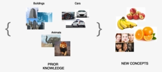 Imagine A System Trained On Images Of Buildings, Cars