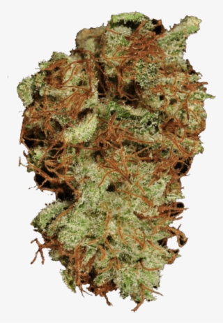 Top Shelf - Purple Diesel