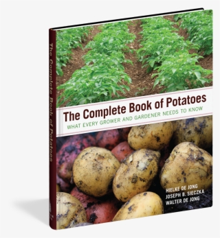 Potatoes Png