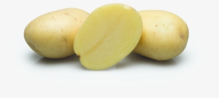 Stet-potato - Com/en Sitemap -
