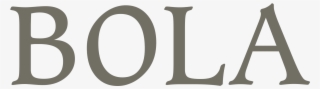 Bola Png