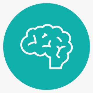 Brain