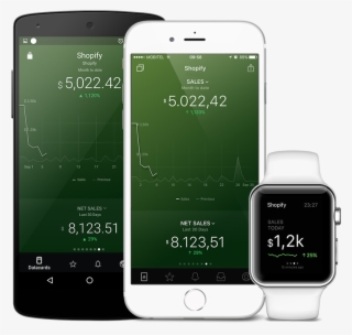 Shopify Metrics And Kpi Visualization In Databox Native
