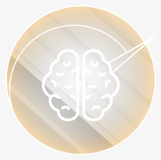 Brain Optimization