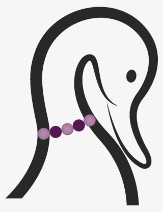 Fancyducklogo