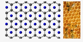 Honeycomb-like Lattice Enforcing A Phenomenon Called